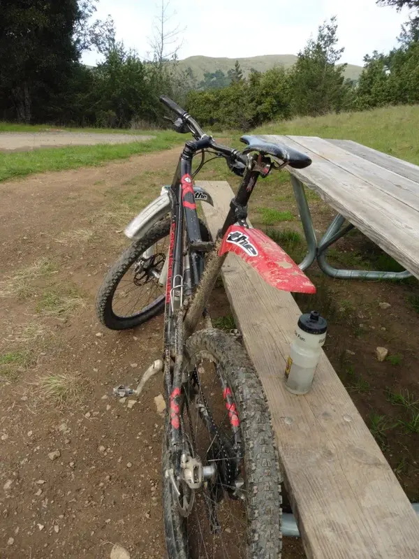 A little muddy.webp