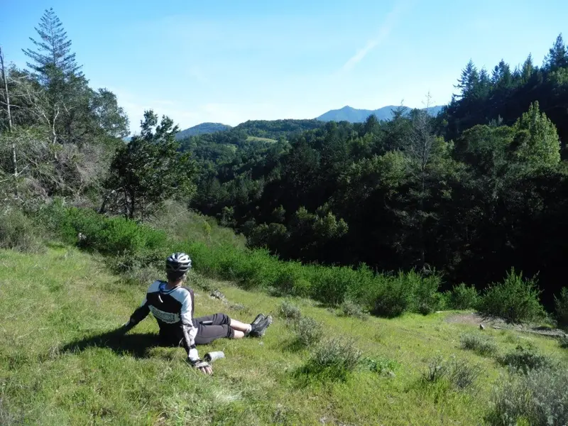 Sitting in the sun.webp