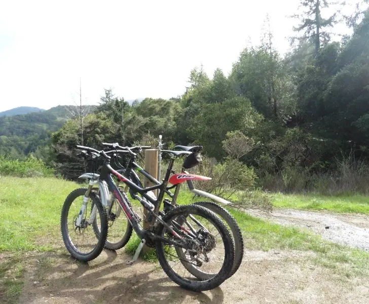 Rest and drink stop.webp