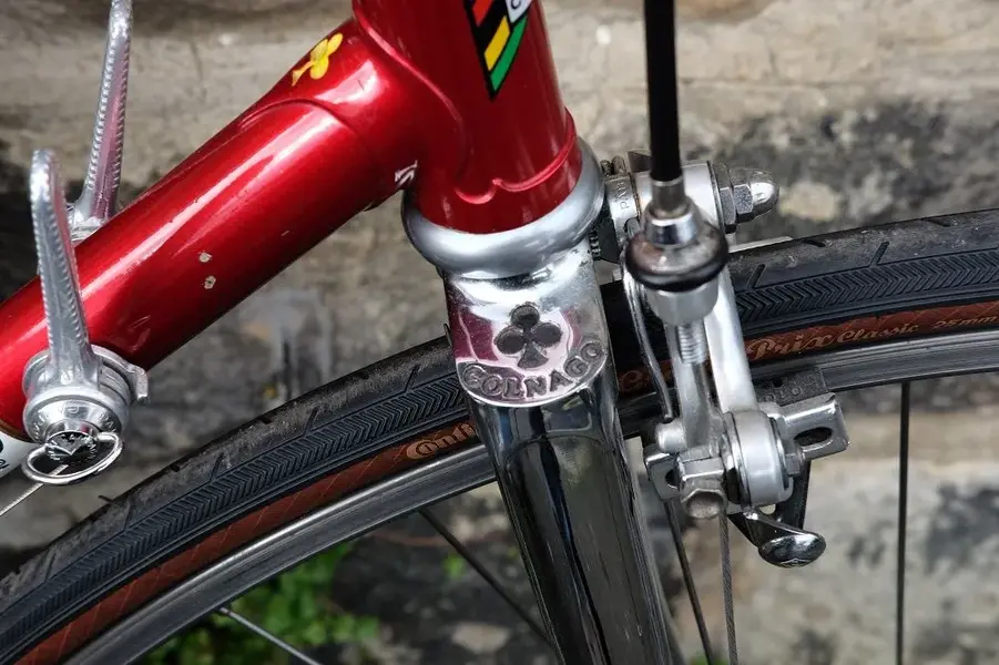 Colnago crown right side.webp