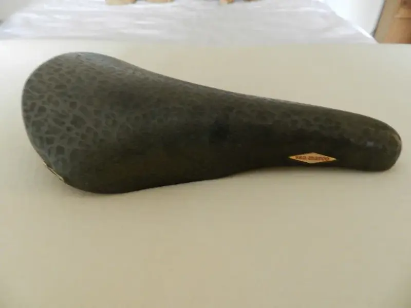 DSCN1160 (Medium).webp