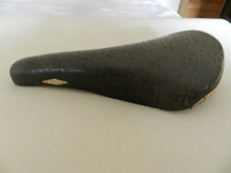 DSCN1162 (Medium).webp