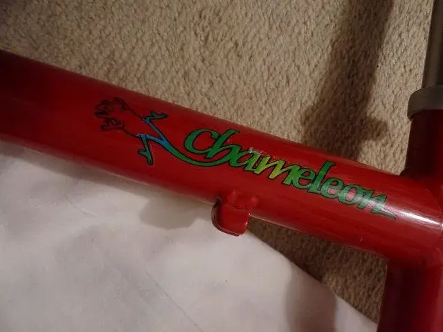 SC Chameleon 004.webp
