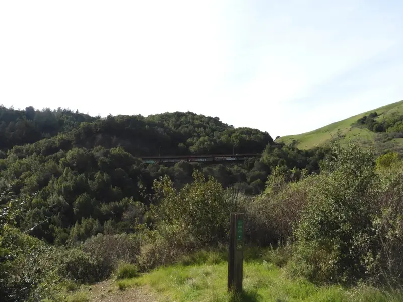Trailhead.webp