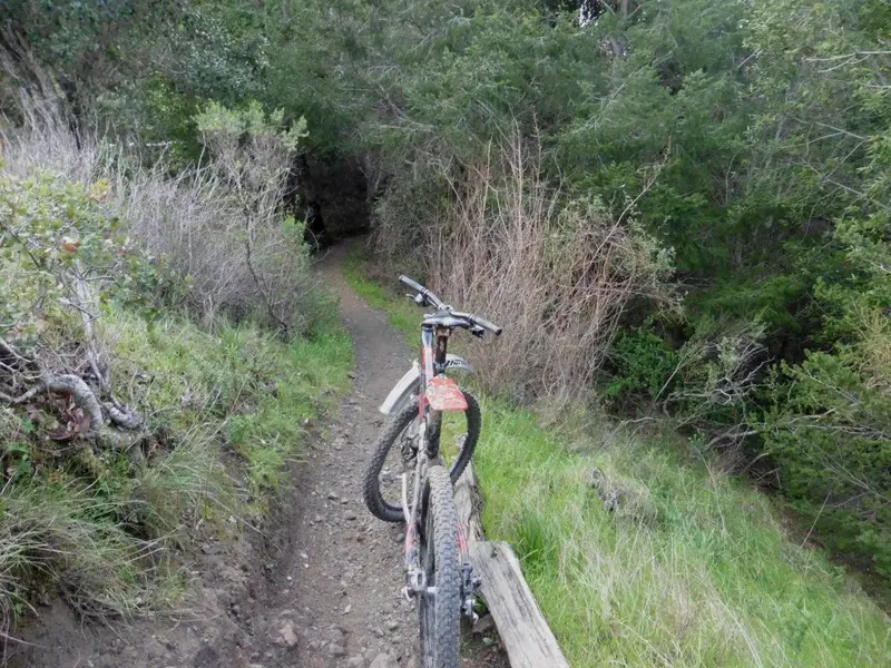 Broken Dam Trail.webp