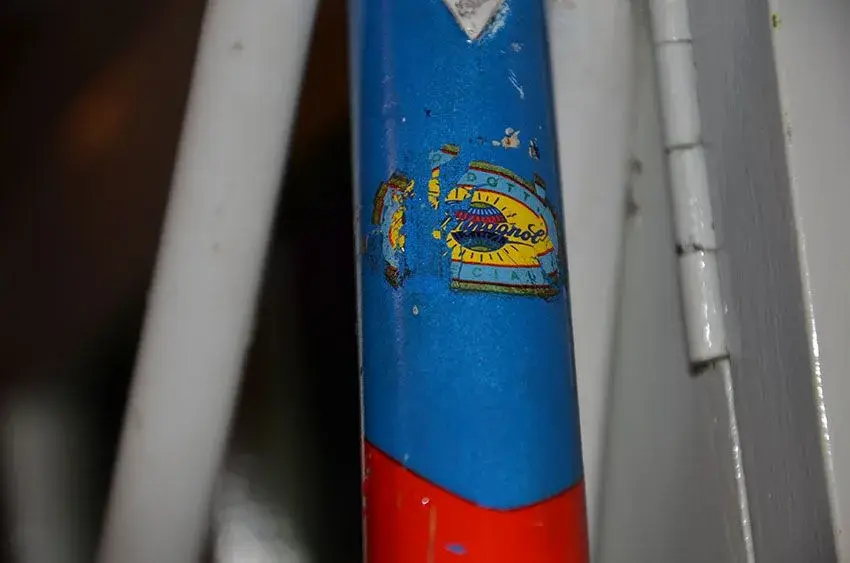 DSC_6620.webp