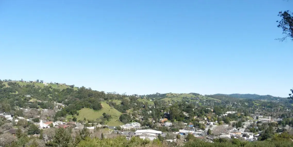 Above Fairfax.webp