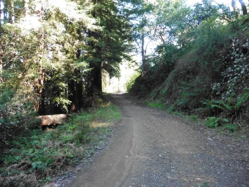 Lower Concrete Pipe fire road.webp