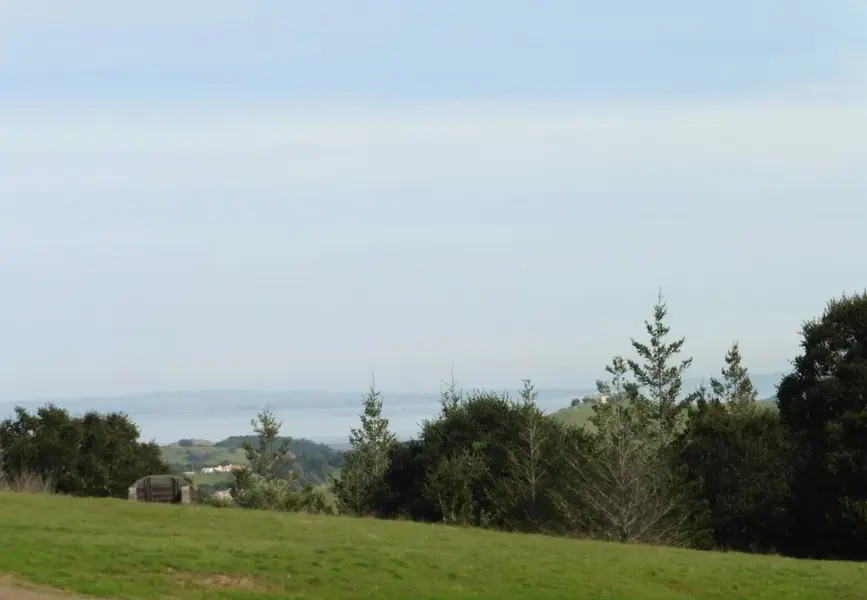 North Bay view.webp