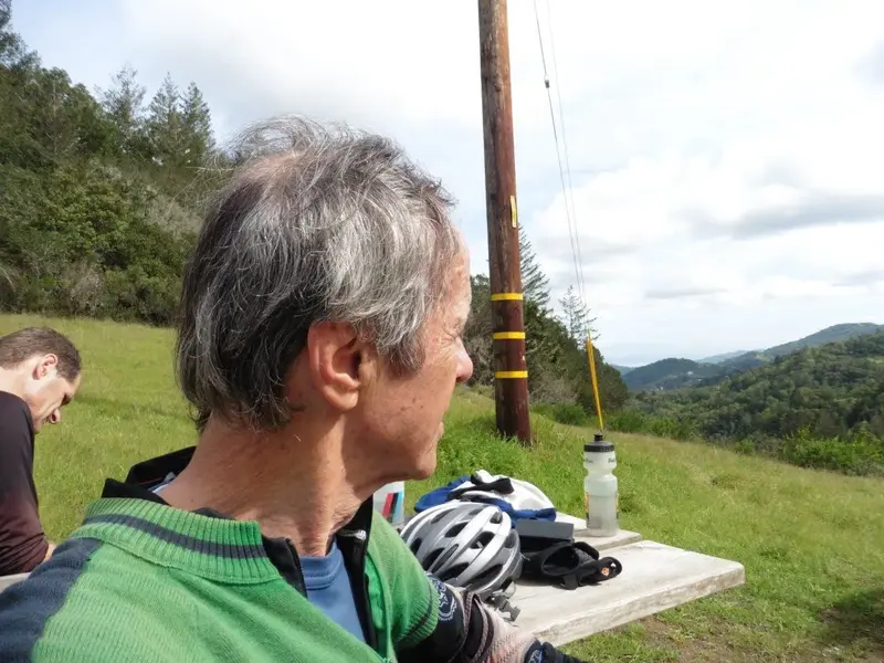 Hanging at the top.webp