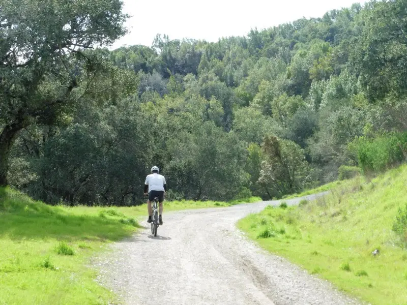 On the climb.webp