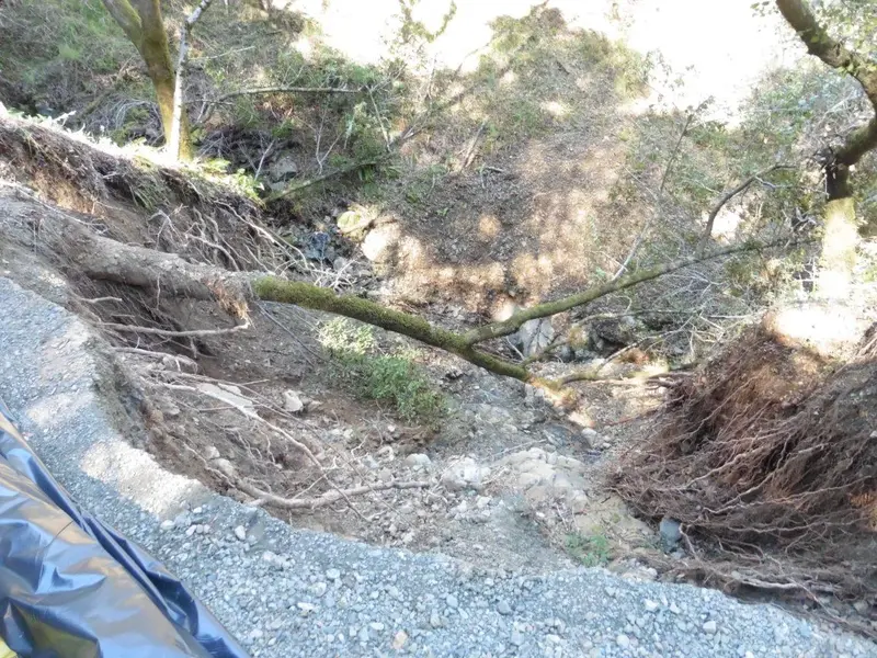 Long way down.webp
