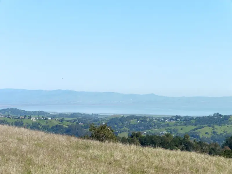 SF Bay.webp