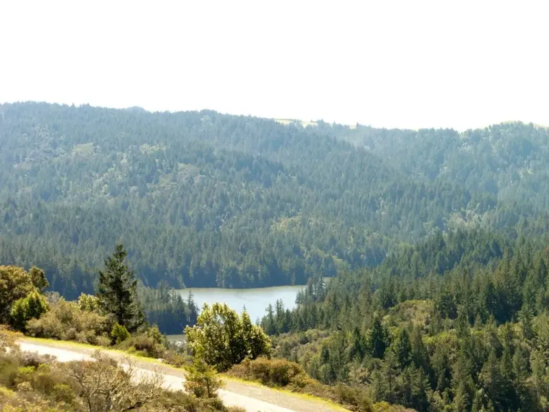 Alpine Lake.webp