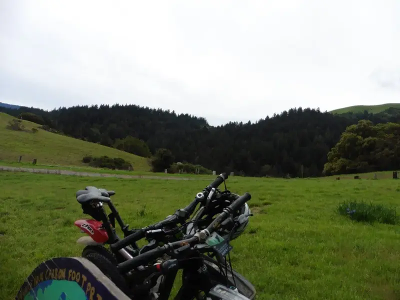 Rest stop.webp