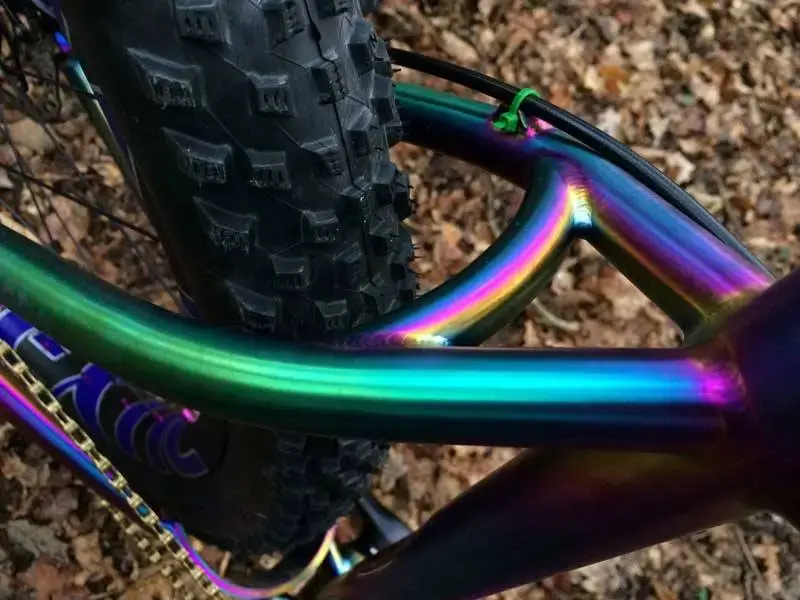 Rainbow Travers 5.webp
