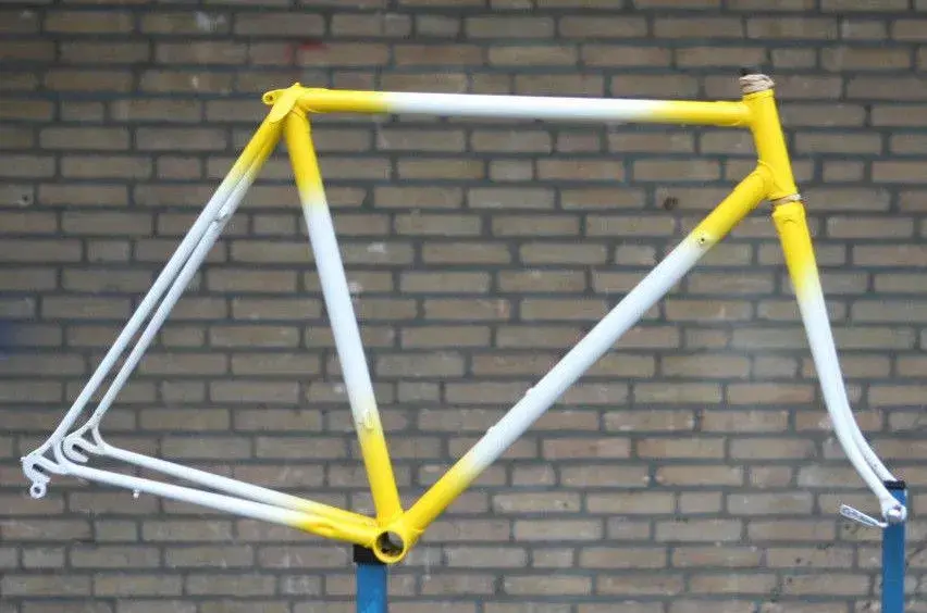 Frame.webp