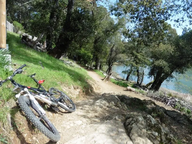 Trail by the lake.webp
