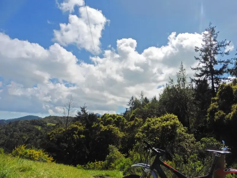 Blue sky.webp