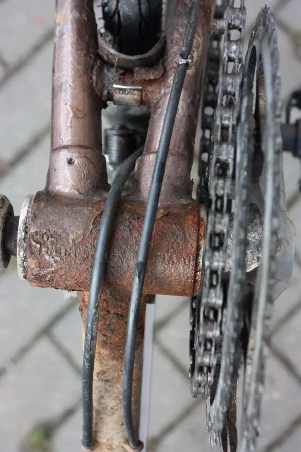 s-l1600-4.webp