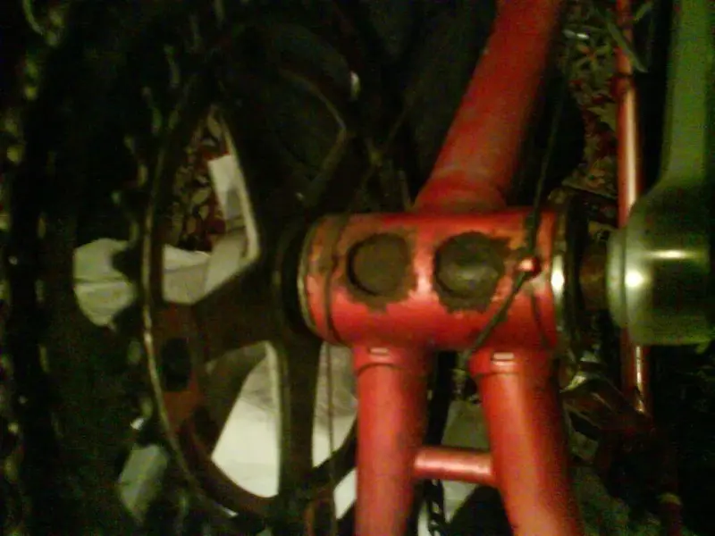 DSC00434.webp