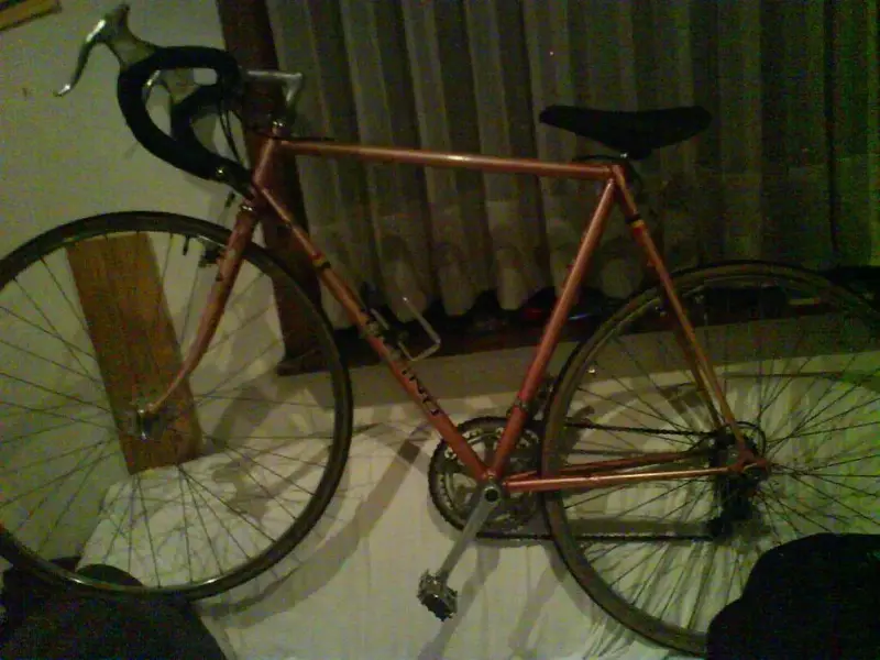 DSC00433.webp
