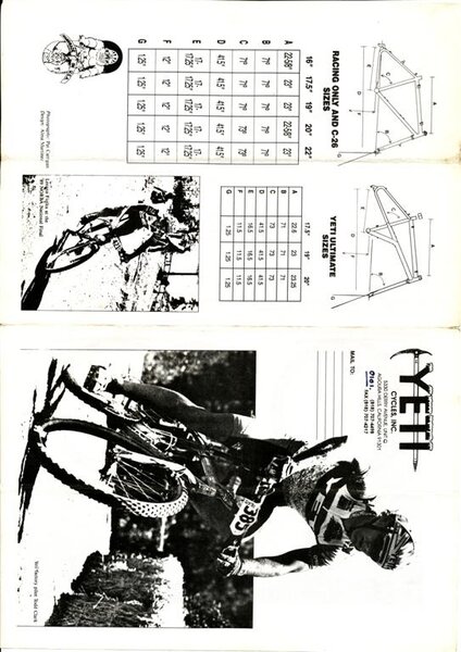 yeti cat 1990 3 (Large).jpg