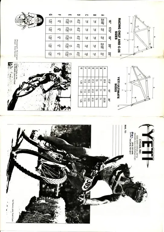yeti cat 1990 3 (Large).webp