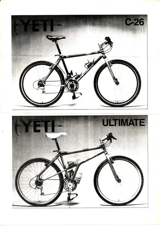 yeti cat 1990 (Large).webp