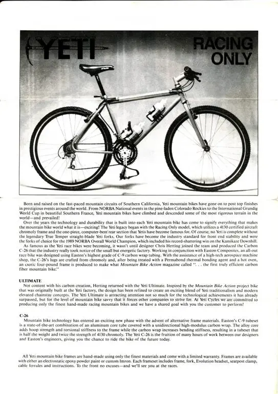 yeti cat 1990 4 (Large).webp