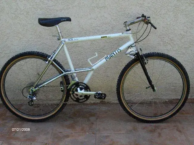 Mantis XCR 1.webp