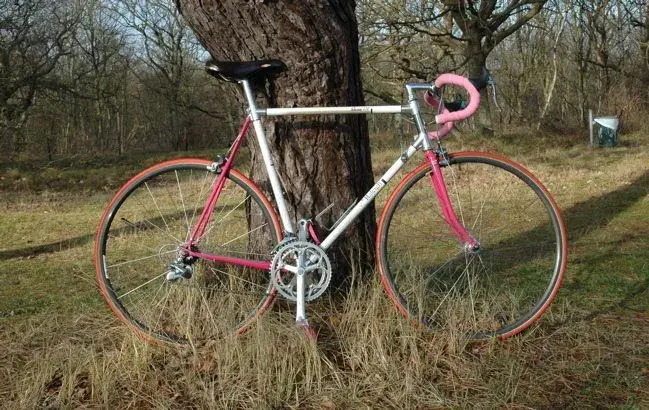 Raleigh DT700.webp