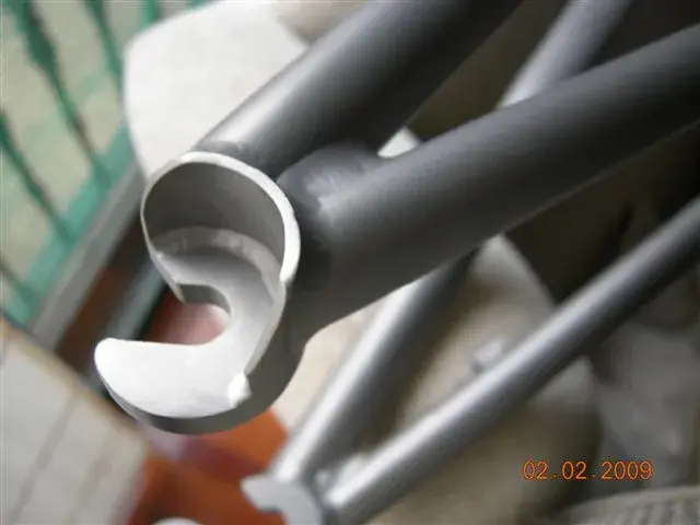 11.webp