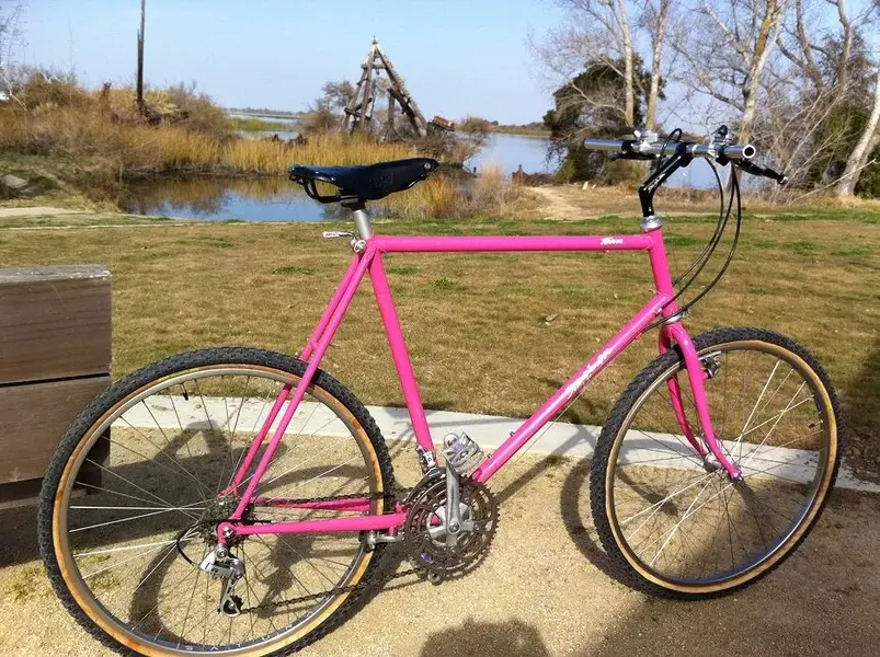 Pink Team repaint.webp