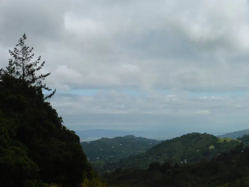 SF Bay.webp
