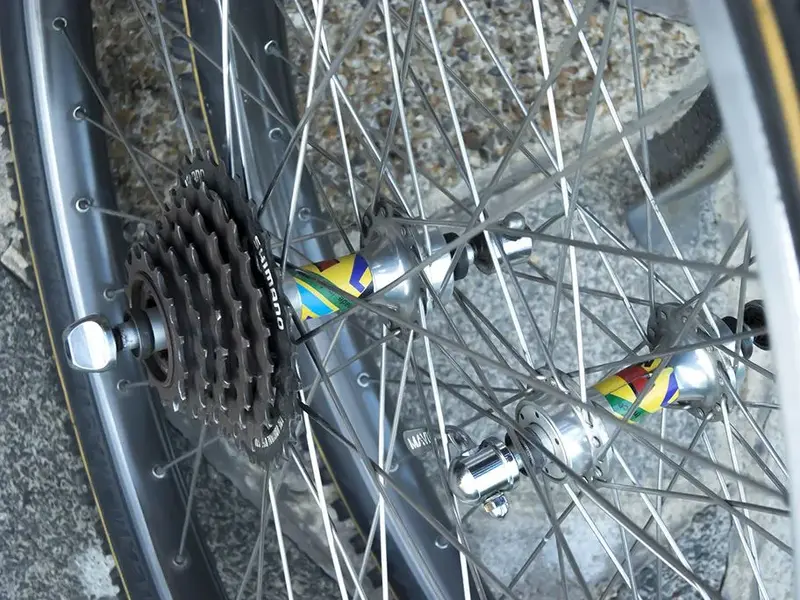 DSCN2515.webp