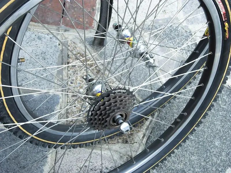 DSCN2510.webp