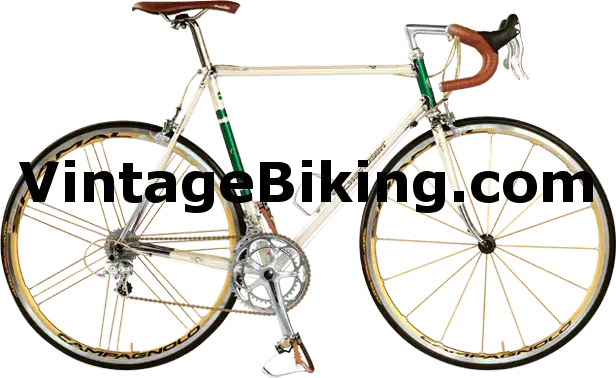 vbiking.webp