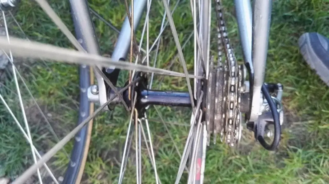 biCSe-Imtsvr.webp