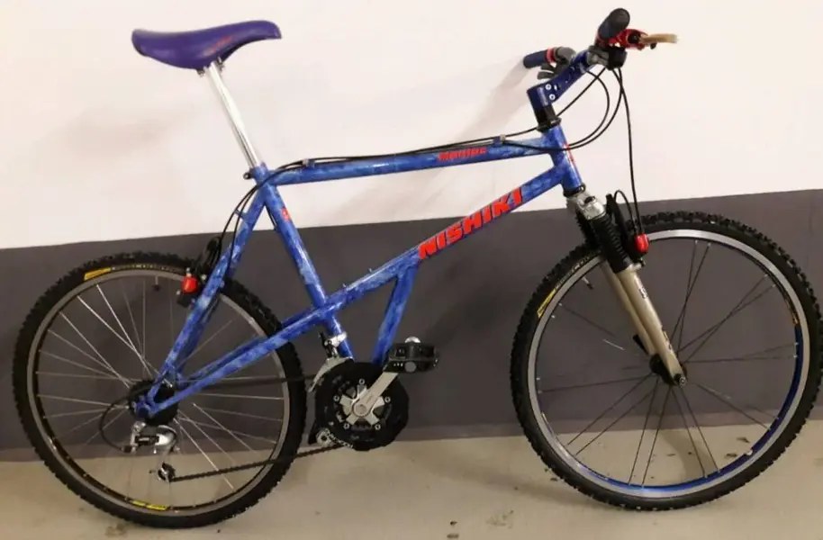 Nishiki Maniac.webp