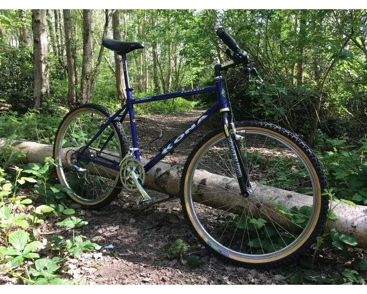 Woods_April_17.webp