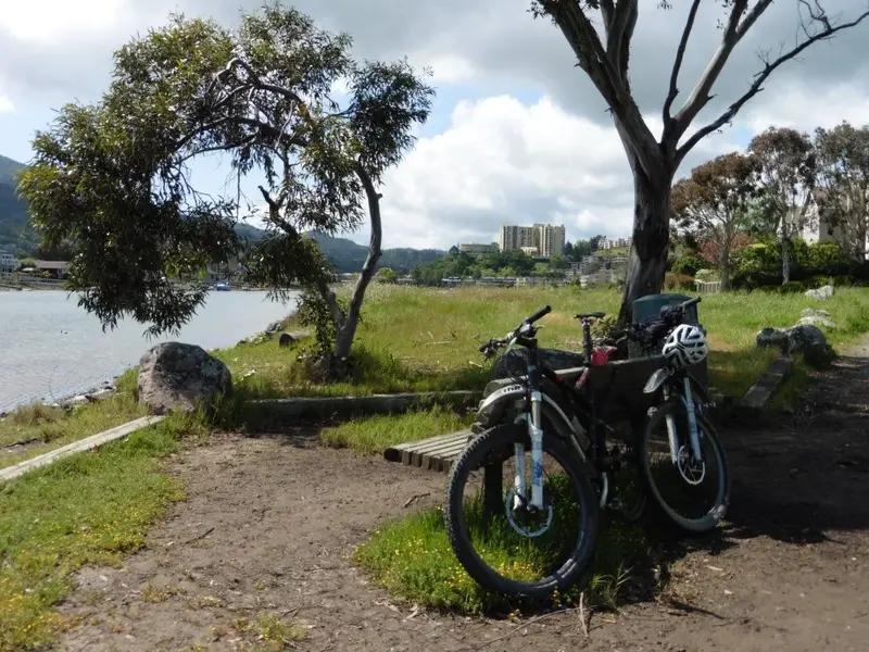 Rest stop.webp