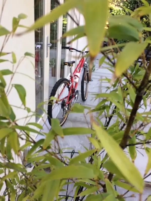 bike2.webp