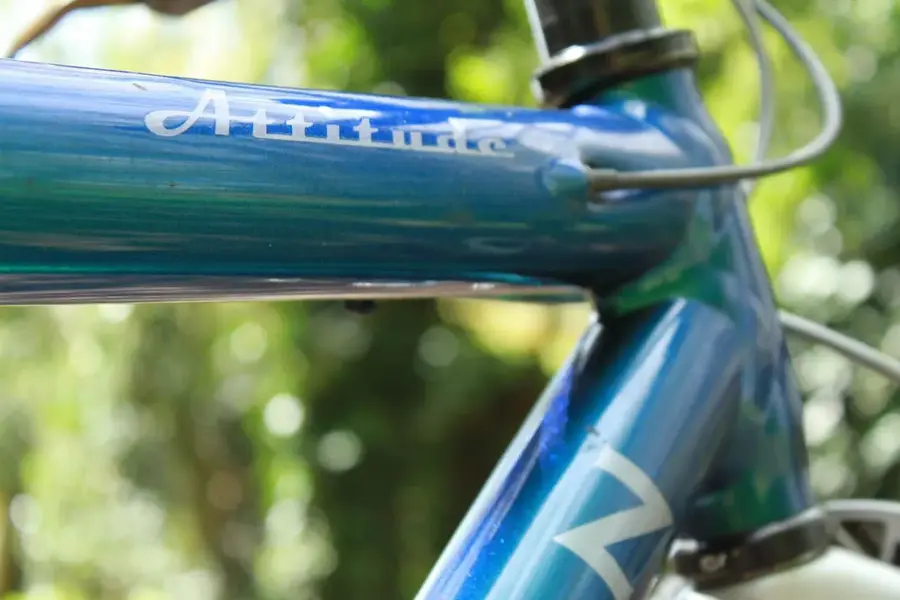Bikesw-13.webp