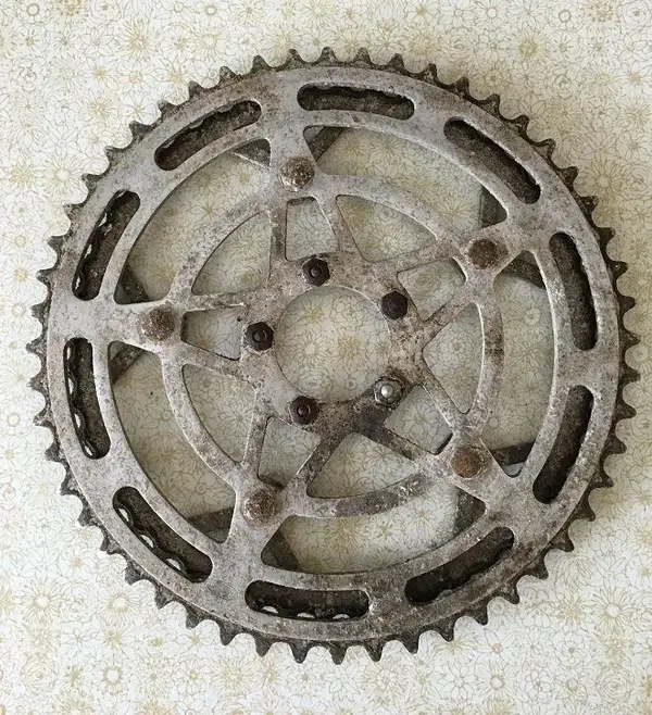 Chainrings Before a.webp