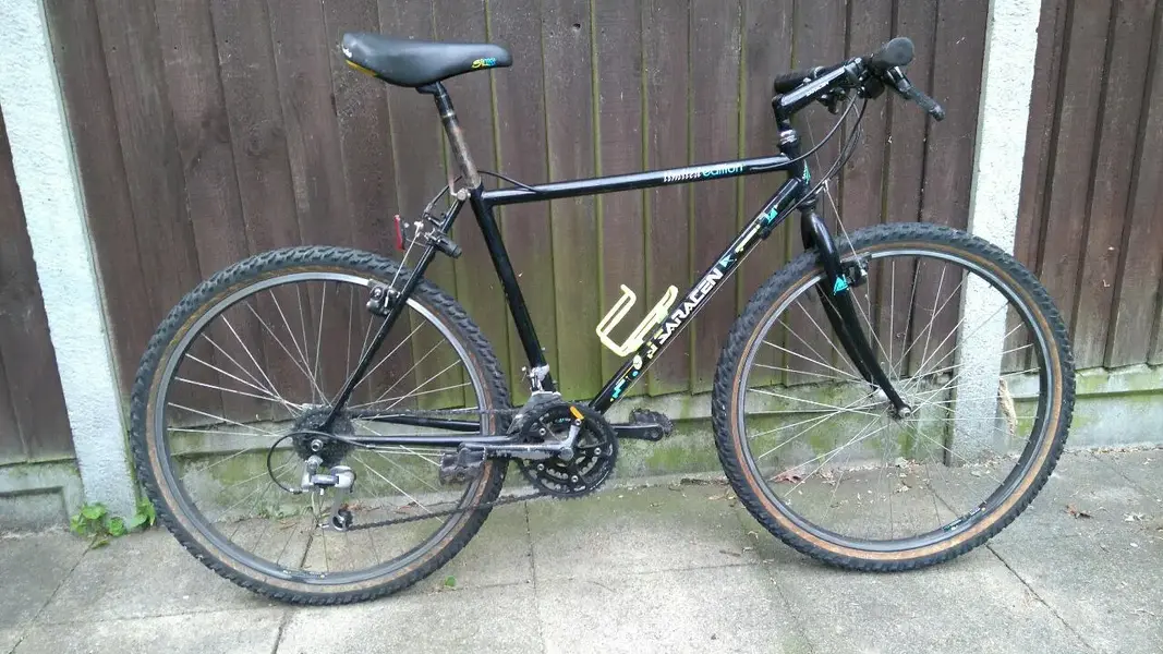saracen 1.webp
