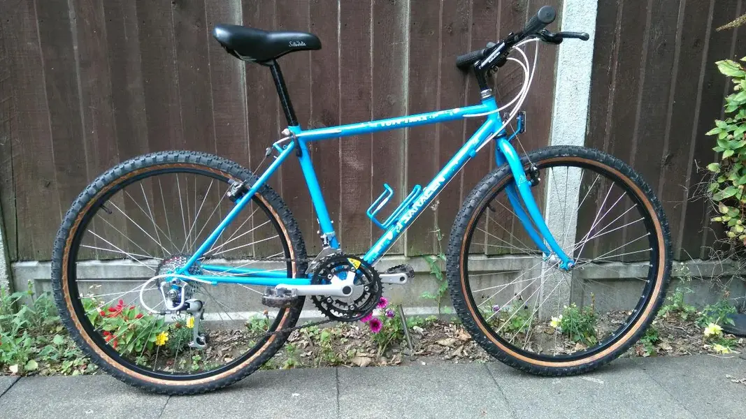 saracen 5.webp
