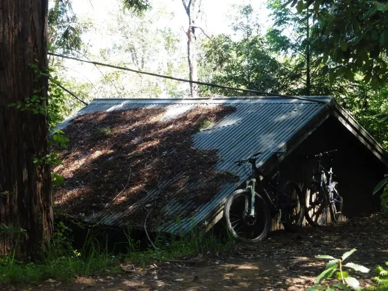 Rest stop.webp
