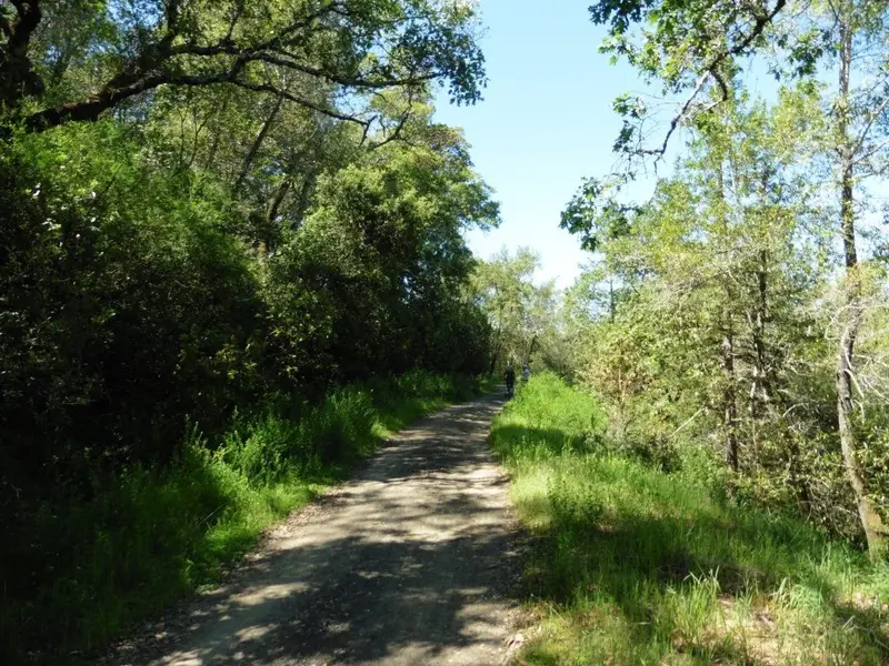 Concrete pipe road.webp