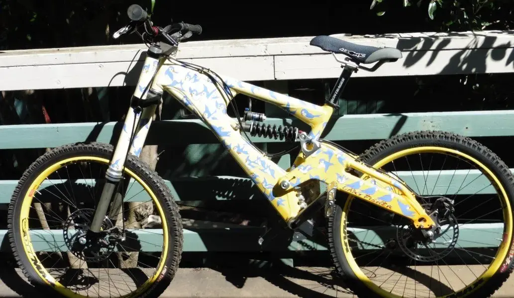 Bluebird bike.webp